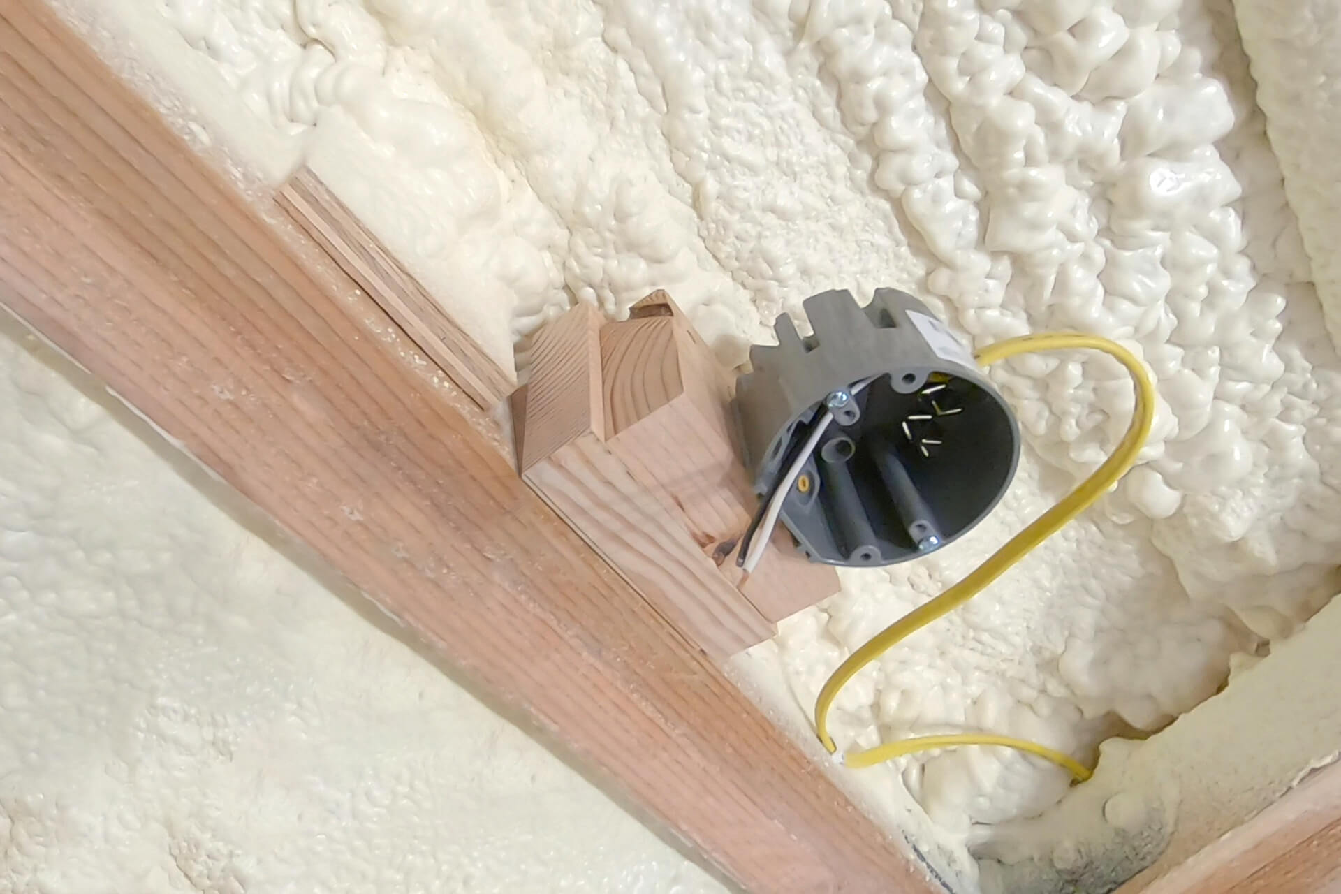 Electrical branch photo number 08.